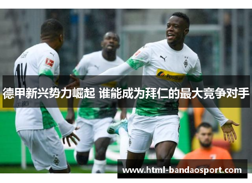 德甲新兴势力崛起 谁能成为拜仁的最大竞争对手