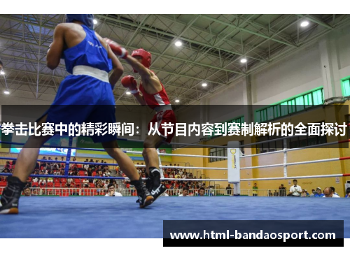 拳击比赛中的精彩瞬间：从节目内容到赛制解析的全面探讨