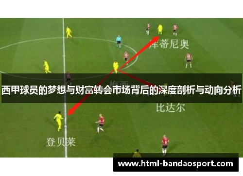 西甲球员的梦想与财富转会市场背后的深度剖析与动向分析