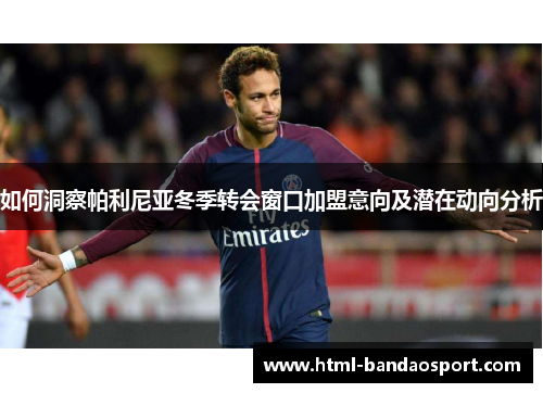 如何洞察帕利尼亚冬季转会窗口加盟意向及潜在动向分析