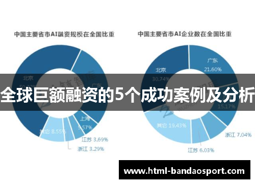 全球巨额融资的5个成功案例及分析
