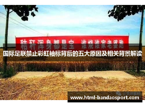 国际足联禁止彩虹袖标背后的五大原因及相关背景解读